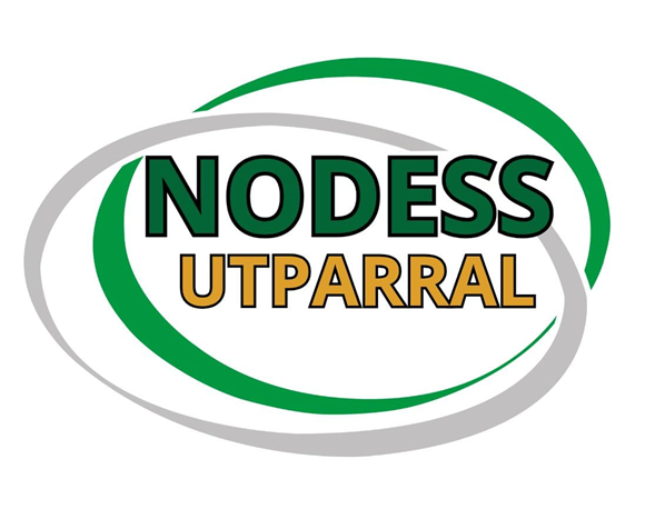 Imagen ilustrativa de NODESS